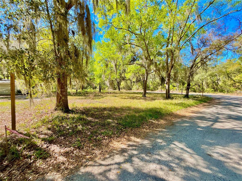 A grassy, tree-filled vacant lot sits beside a gravel road on a sunny day — Lot 1 SE 16TH STREET, MELROSE, FL