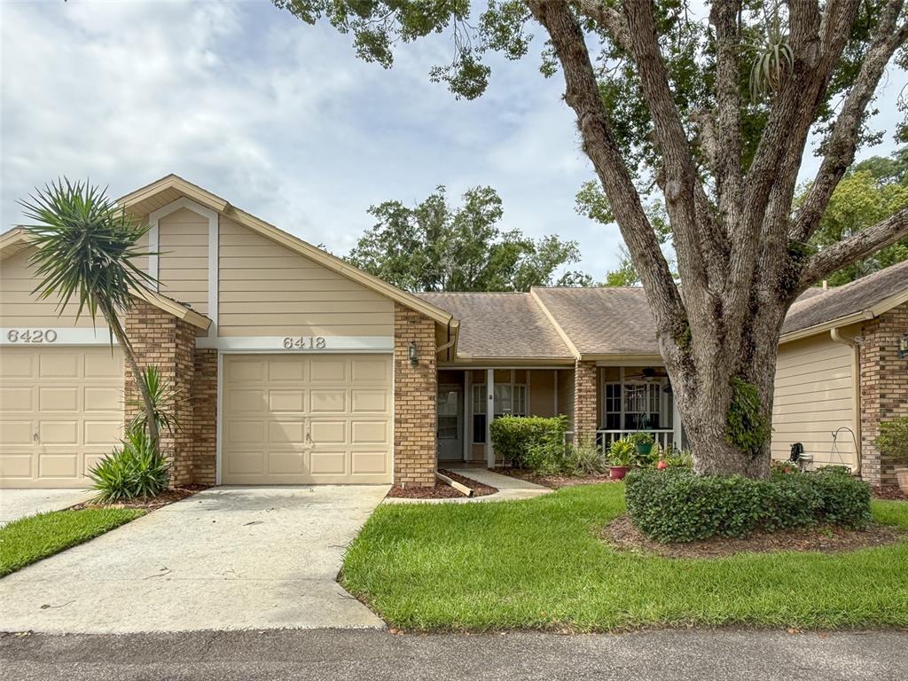 6418 CABBAGE LANE
