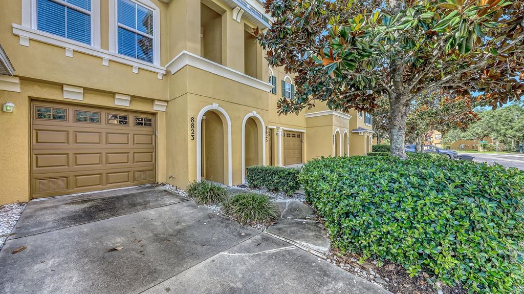 8823 WHITE SAGE LOOP
