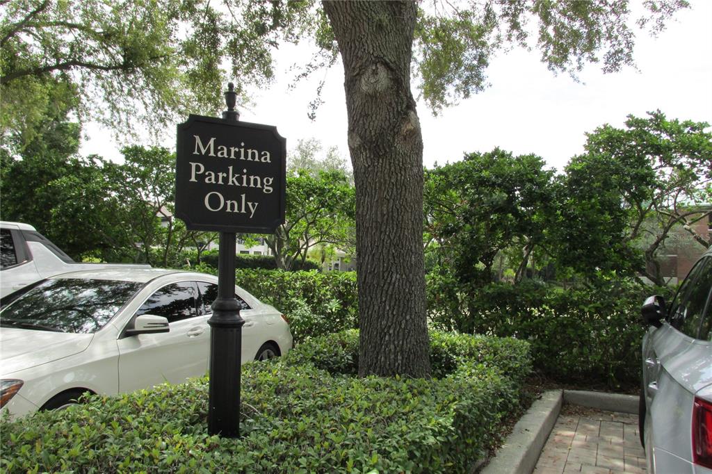 0 SEDDON COVE WAY UNIT 4, TAMPA, FL — photo 5 of 5