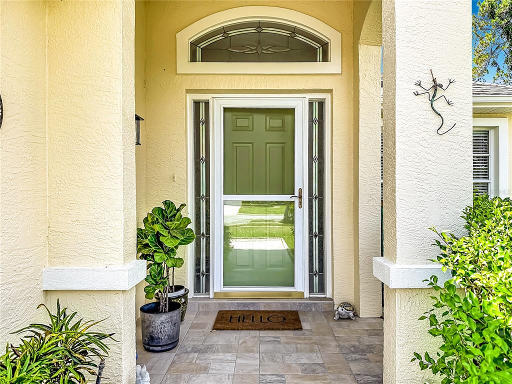 A front entryway features a glass storm door, sidelights, a transom window, and potted plants — 7828 CRAIGHURST LOOP, NEW PORT RICHEY, FL