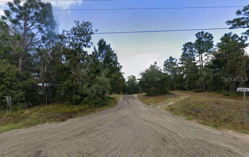 A dirt road forks through a wooded area with a street sign labeled Cardinal — CENTERWOOD ROAD, FLORAHOME, FL