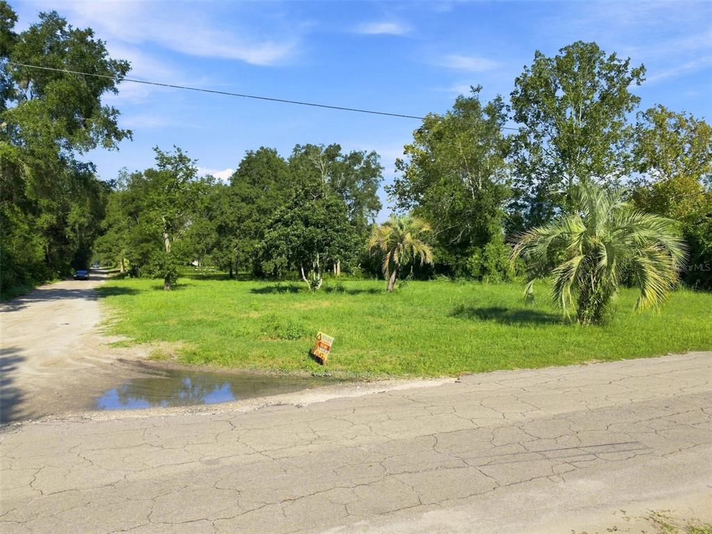 A grassy, vacant lot with trees and a palm tree sits beside a paved road — 18019 GOOD HOPE LANE, SPRING HILL, FL