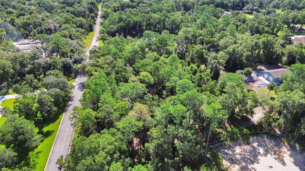 An aerial view shows a paved road winding through a dense, wooded residential area — 1964 S FARM ROAD, DELAND, FL