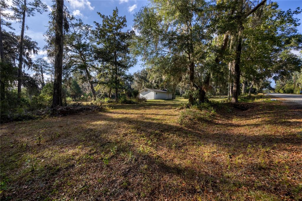 A small white building sits on a grassy lot surrounded by tall, moss-covered trees — 560 NW 39TH ROAD, GAINESVILLE, FL