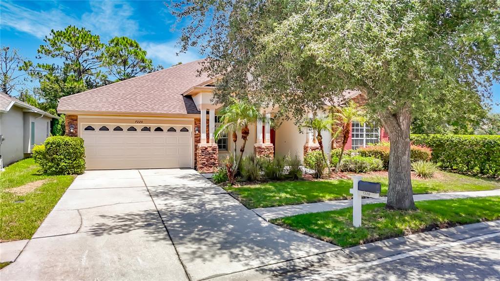 An aerial view shows a suburban neighborhood with houses situated near a pond and woods — 7220 NIGHT HERON DRIVE, LAND O LAKES, FL
