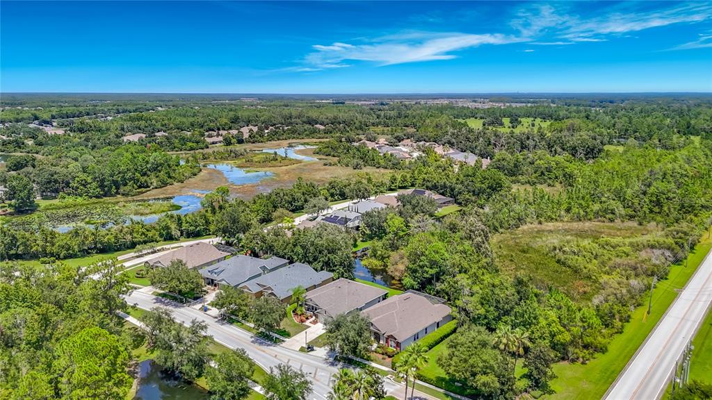 An aerial view shows suburban houses, a road, and a large wooded area with ponds — 7220 NIGHT HERON DRIVE, LAND O LAKES, FL