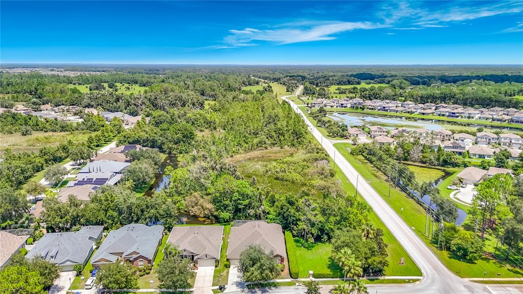 An aerial view shows two suburban houses with brown roofs next to a wooded area — 7220 NIGHT HERON DRIVE, LAND O LAKES, FL