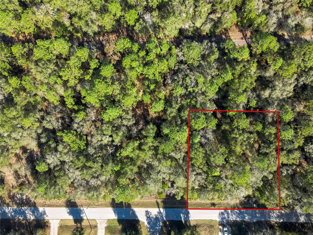 An aerial view shows a rectangular plot of land outlined in red within a wooded area — 3193 E PORTER STREET, INVERNESS, FL