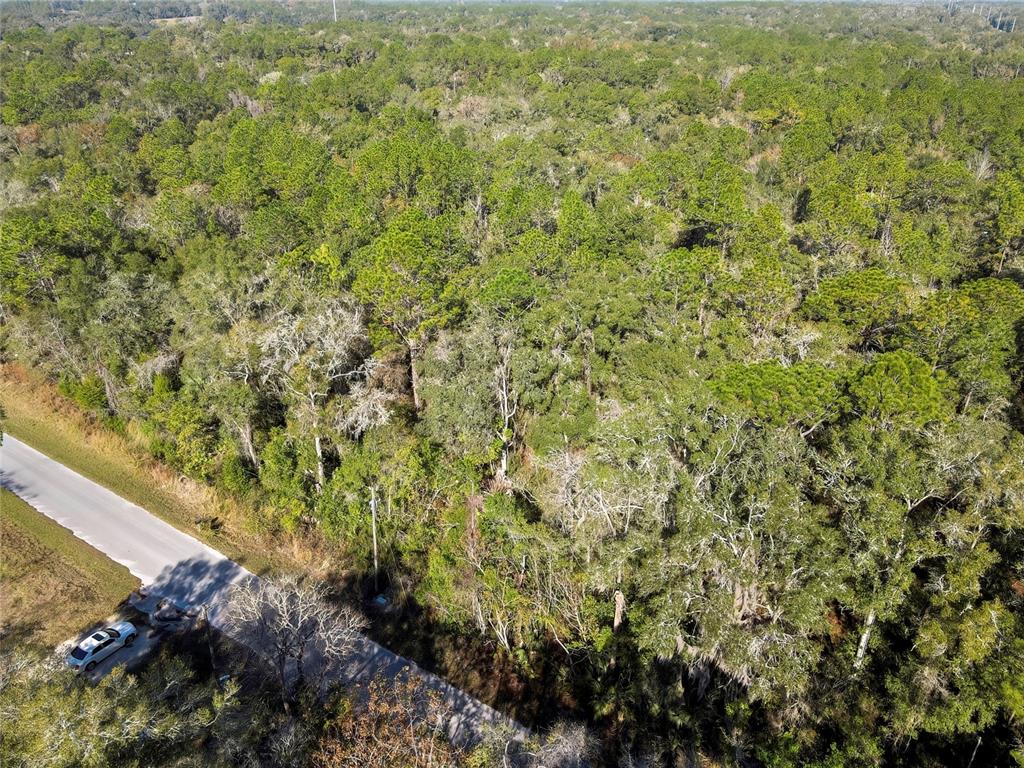 An aerial view shows a paved road bordering a dense, wooded forest area — 3193 E PORTER STREET, INVERNESS, FL