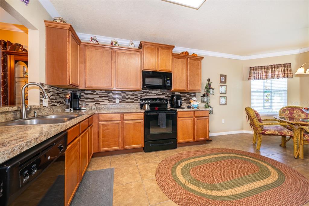 3184 QUEEN ALEXANDRIA DRIVE, KISSIMMEE, FL — photo 3 of 22
