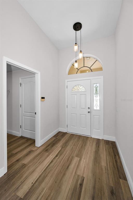 An entryway features light-colored walls, wood-look flooring, a white front door, and a pendant light — 25427 SEVEN RIVERS CIRCLE, LAND O LAKES, FL