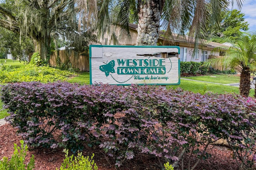 988 STUCKI TERRACE, WINTER GARDEN, FL — photo 3 of 12