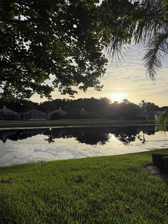 A paved driveway leads to a gated community entrance featuring a fountain and landscaping — 1338 DARTFORD DRIVE, TARPON SPRINGS, FL