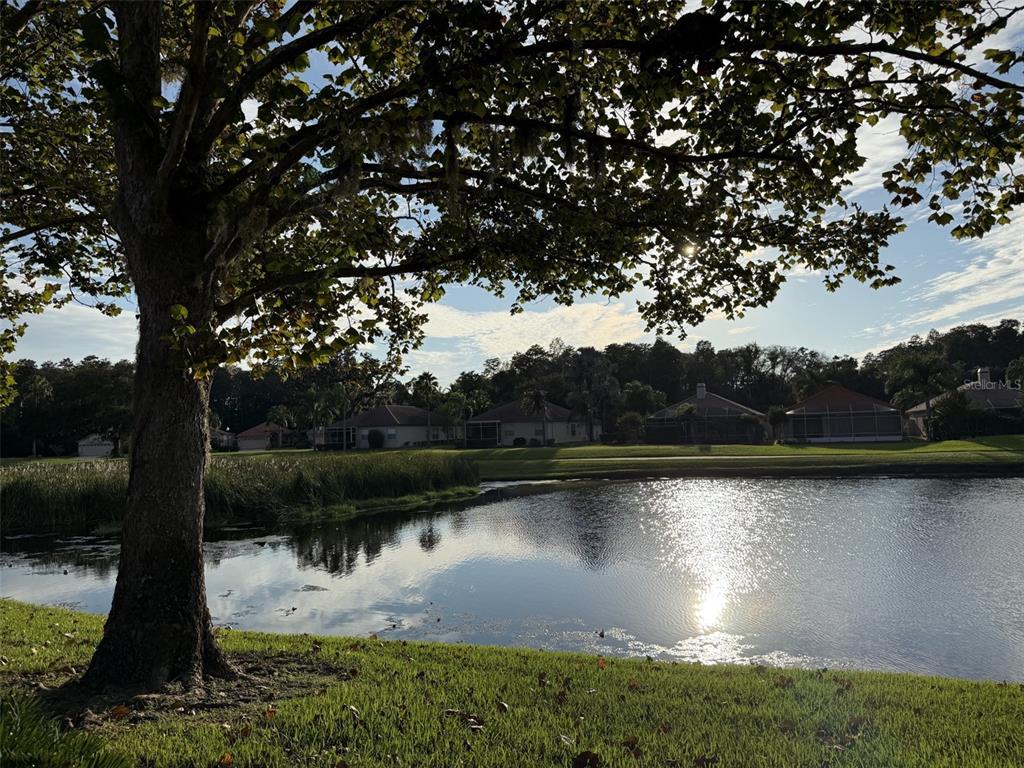 A brick entrance gate leads into the Crescent Oaks residential community under a blue sky — 1338 DARTFORD DRIVE, TARPON SPRINGS, FL