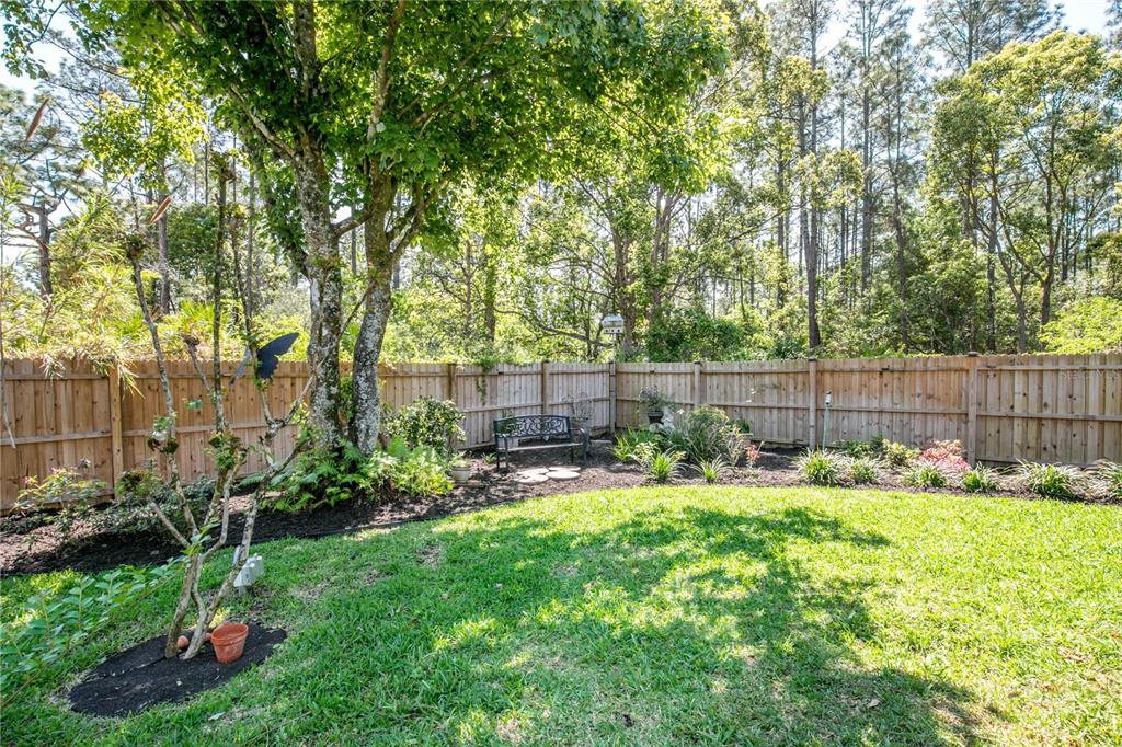 A backyard features a grassy lawn, a wooden fence, mature trees, and a garden bench — 2040 PARK FOREST BOULEVARD, MOUNT DORA, FL