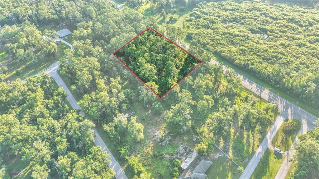 An aerial view shows a wooded lot outlined in red near a road and houses — 0 TREIMAN BOULEVARD, WEBSTER, FL