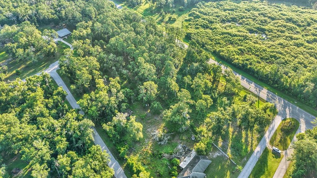 An aerial view shows a wooded lot with two houses, paved roads, and surrounding vegetation — 0 TREIMAN BOULEVARD, WEBSTER, FL