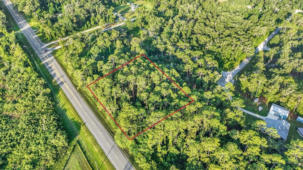 An aerial view shows a rectangular plot of land outlined in red beside a road — 0 TREIMAN BOULEVARD, WEBSTER, FL