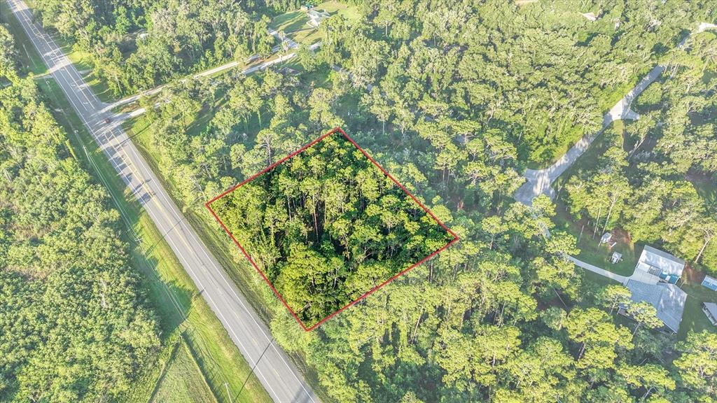 An aerial view shows a rectangular plot of land outlined in red amidst dense forest — 0 TREIMAN BOULEVARD, WEBSTER, FL