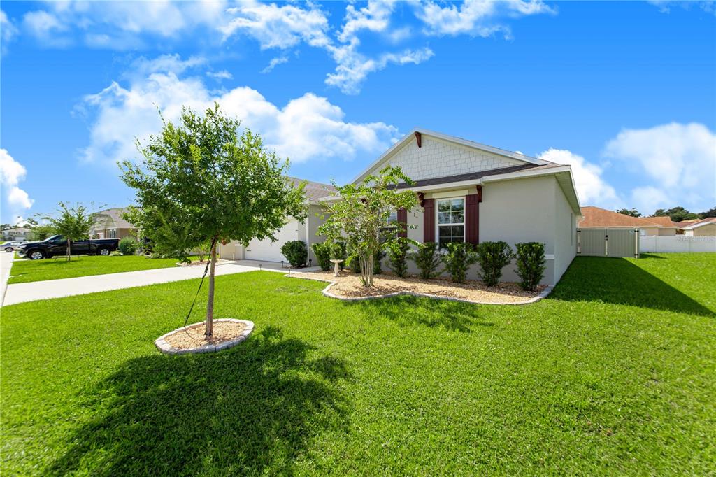 A single-story suburban house with a green lawn, a small tree, and a landscaped garden — 803 AUBURN GROVE COURT, AUBURNDALE, FL