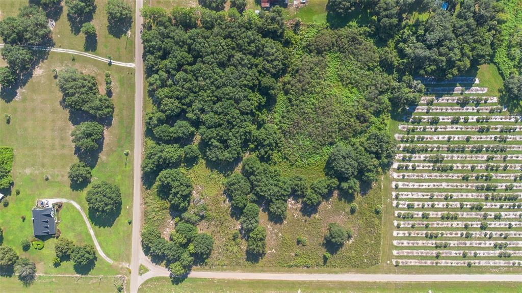 An aerial view shows a wooded lot bordered by a road and a cultivated field — YALE HAMMOCK ROAD, UMATILLA, FL