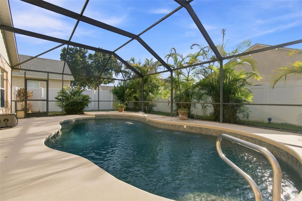 A screened-in backyard patio features a swimming pool with a curved edge and palm trees — 6637 THACKSTON DRIVE, RIVERVIEW, FL