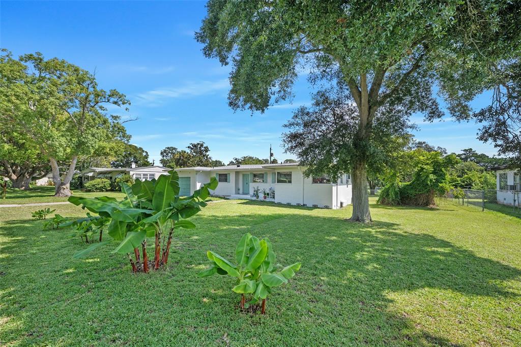 A white single-story house sits on a grassy lot with large trees and banana plants — 1649 CORDOVA AVENUE, HOLLY HILL, FL
