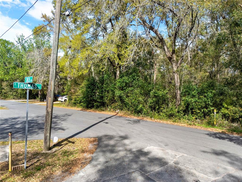 A street corner with a road sign, a utility pole, and a wooded lot — 709 S SMITH AVENUE, INVERNESS, FL