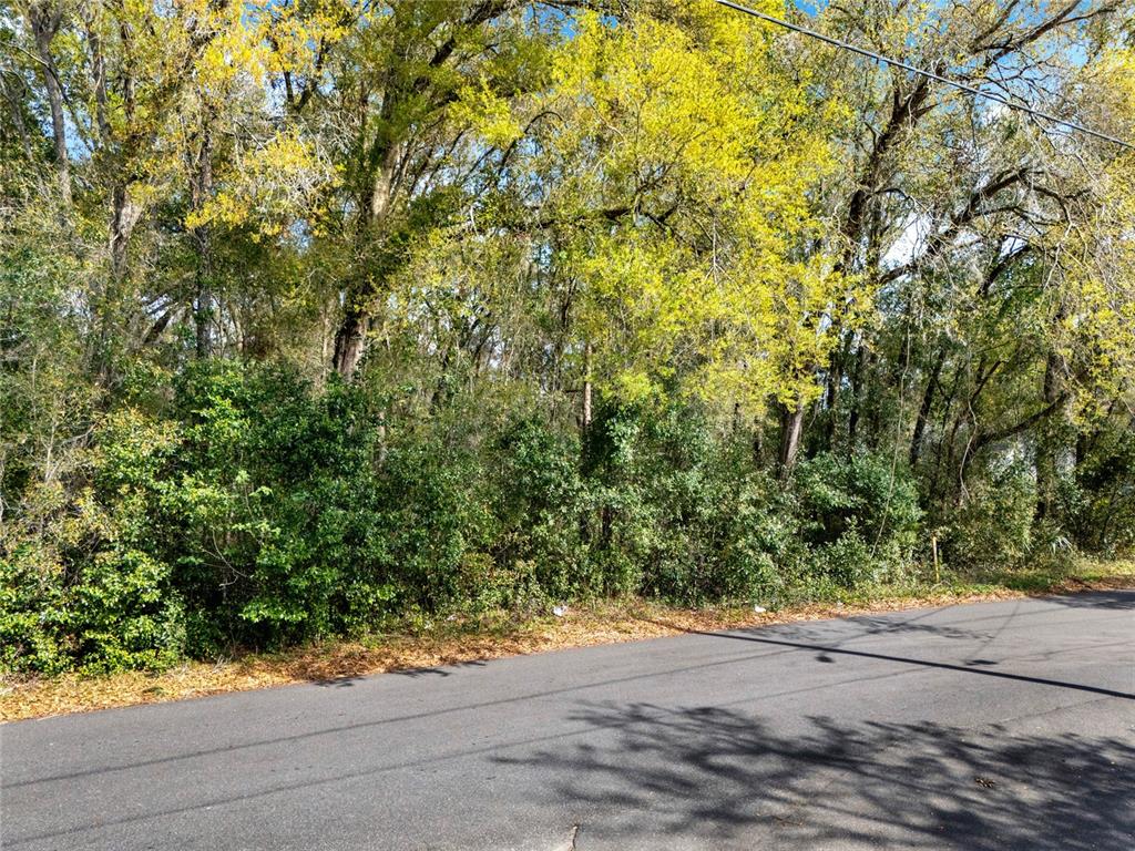 A paved road runs alongside a dense, wooded lot with mature trees and thick underbrush — 709 S SMITH AVENUE, INVERNESS, FL