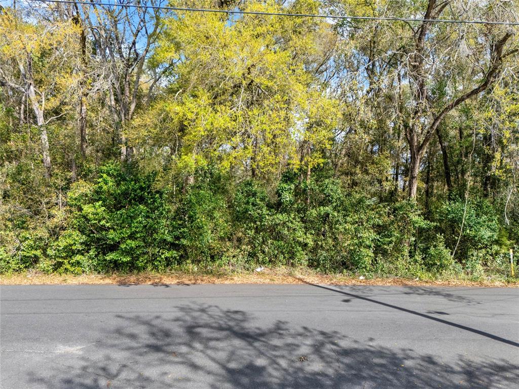 A paved road runs in front of a dense, wooded lot with mature trees — 709 S SMITH AVENUE, INVERNESS, FL