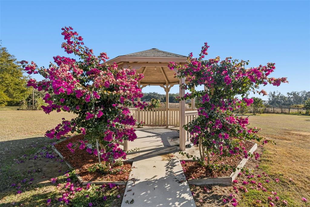 A wooden gazebo stands in a grassy yard, framed by two large, vibrant pink bougainvillea bushes — 14308 WILLOW RUN, DADE CITY, FL
