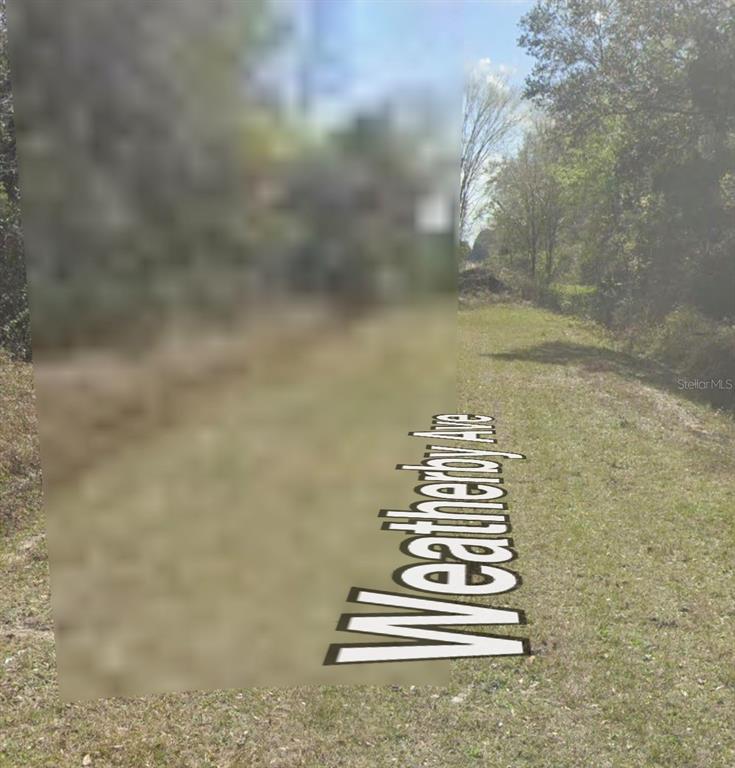 10160 WEATHERBY AVENUE, HASTINGS, FL — photo 4 of 6