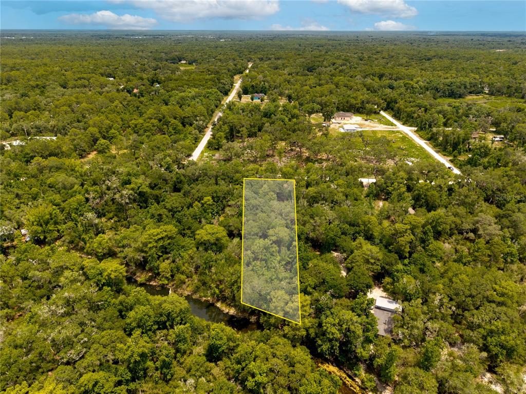 An aerial view shows a rectangular, highlighted plot of land surrounded by dense forest — 7353 RIVERVIEW DRIVE, WEBSTER, FL