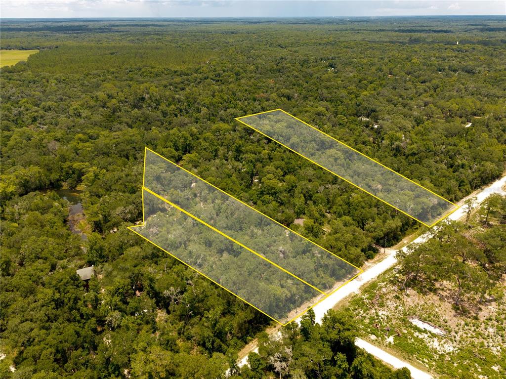 An aerial view shows two adjacent wooded lots outlined in yellow along a dirt road — 7353 RIVERVIEW DRIVE, WEBSTER, FL
