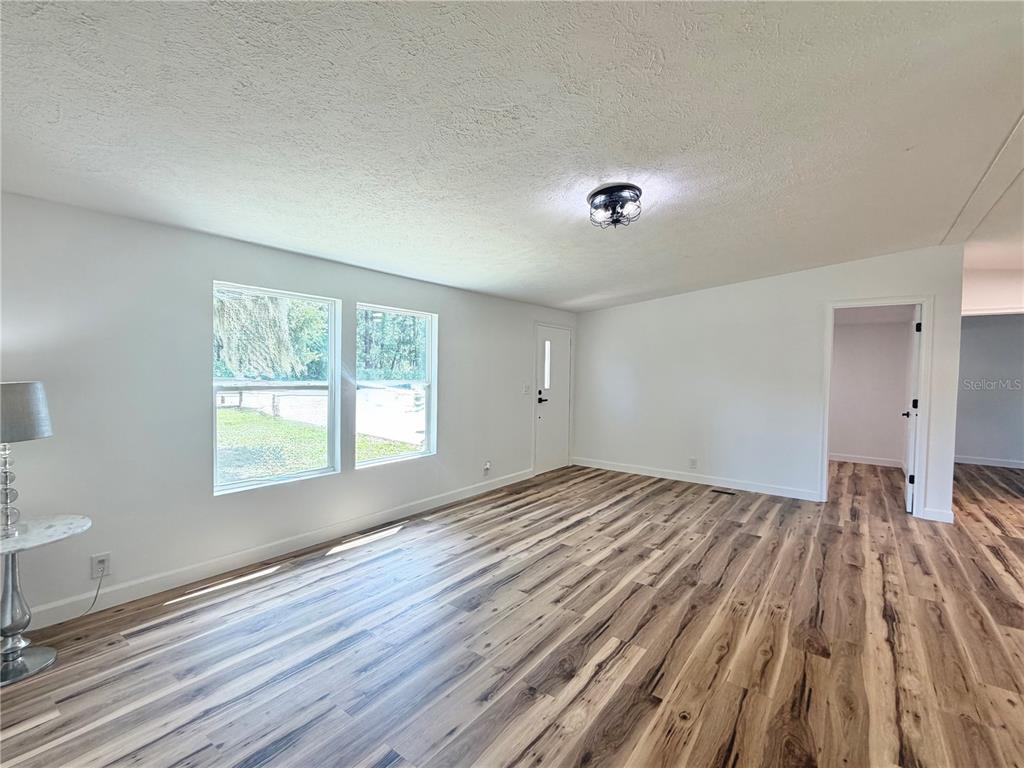 A bright, empty living room features white walls, wood-look flooring, and a modern ceiling light — 11057 SE 132ND PLACE, OCKLAWAHA, FL