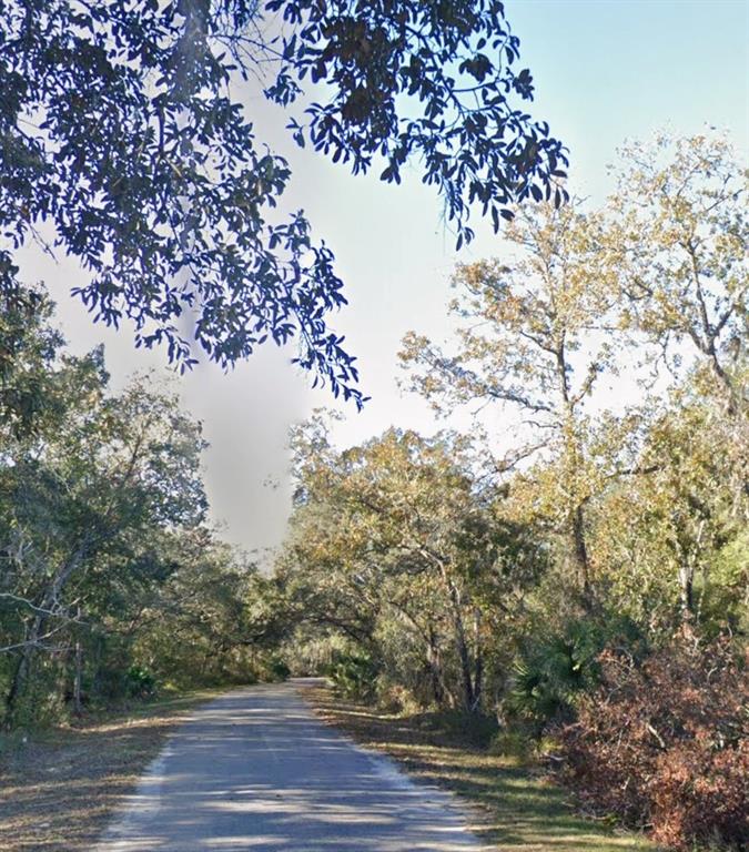 LOT 15 FISHER LN WAY, OCKLAWAHA, FL — photo 2 of 5