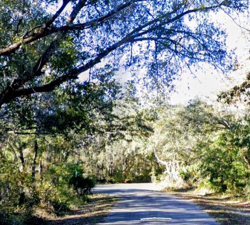 LOT 15 FISHER LN WAY, OCKLAWAHA, FL — photo 3 of 5