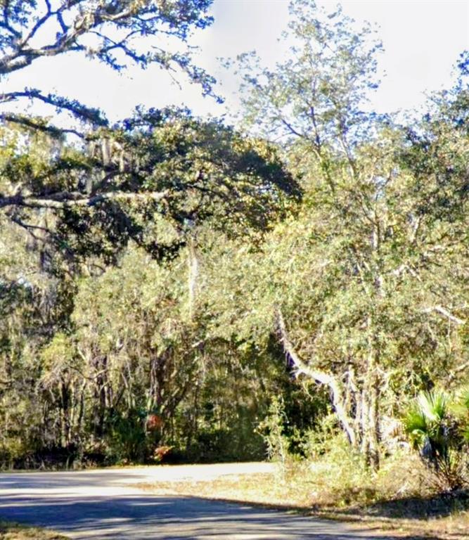 LOT 15 FISHER LN WAY, OCKLAWAHA, FL — photo 4 of 5