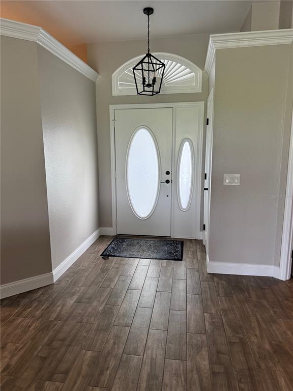 An entryway features a white front door with oval glass inserts, wood-look tile flooring, and a pendant light — 6623 BENDELOW DRIVE, LAKELAND, FL