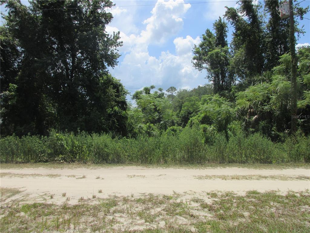 A sandy dirt road runs between grassy lots with trees and mobile homes — TBD SE 19TH STREET, SILVER SPRINGS, FL