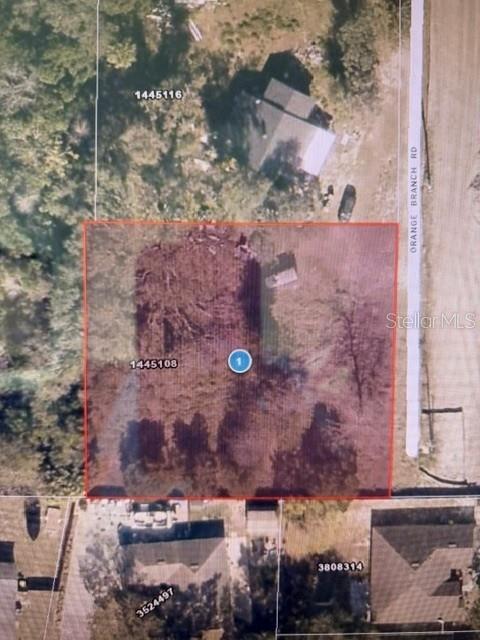 This is an aerial map showing a rectangular plot of land outlined in red — 2668 ORANGE BRANCH ROAD, EUSTIS, FL