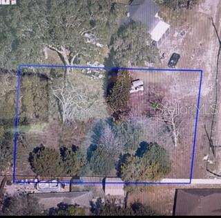 This aerial view shows a rectangular plot of land with trees and a small structure — 2668 ORANGE BRANCH ROAD, EUSTIS, FL