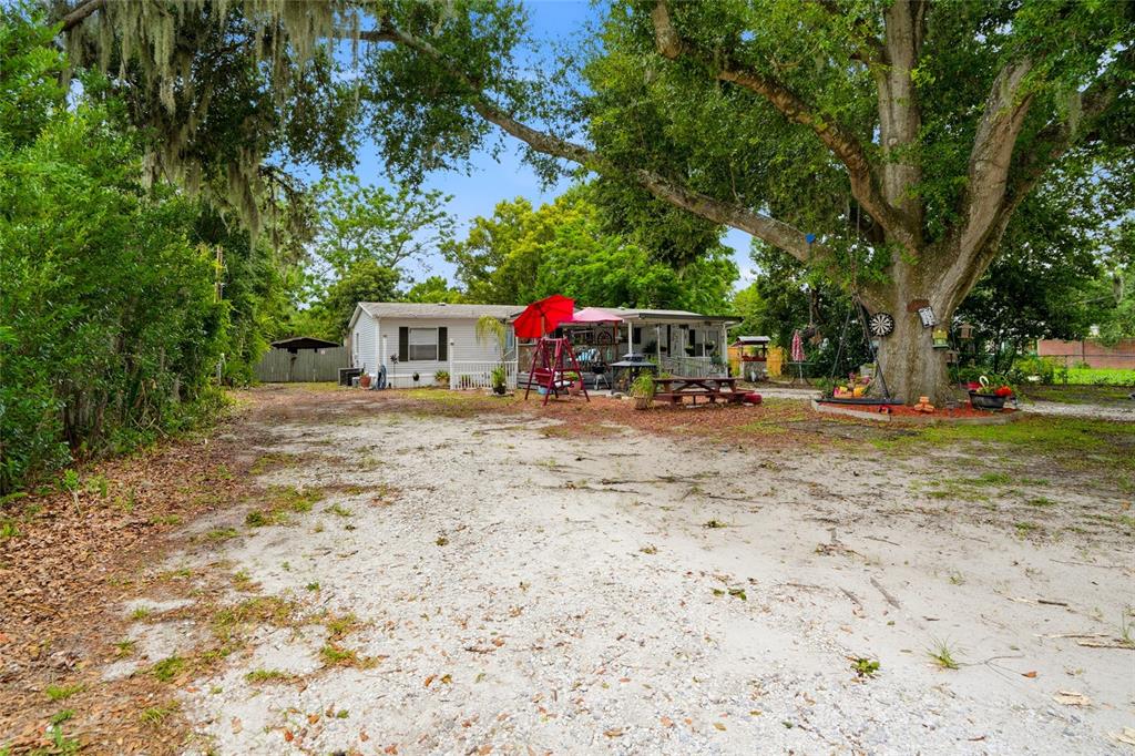 A single-story house with a gravel driveway and a large tree in the front yard — 29514 BENJAMIN DRIVE, WESLEY CHAPEL, FL