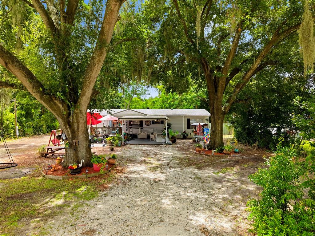 A single-story house with a covered porch sits between two large trees on a gravel lot — 29514 BENJAMIN DRIVE, WESLEY CHAPEL, FL