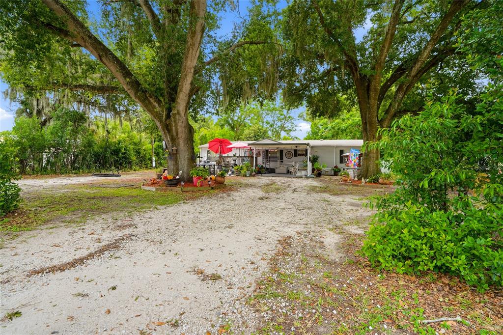 A single-story mobile home sits behind two large oak trees on a gravel driveway — 29514 BENJAMIN DRIVE, WESLEY CHAPEL, FL