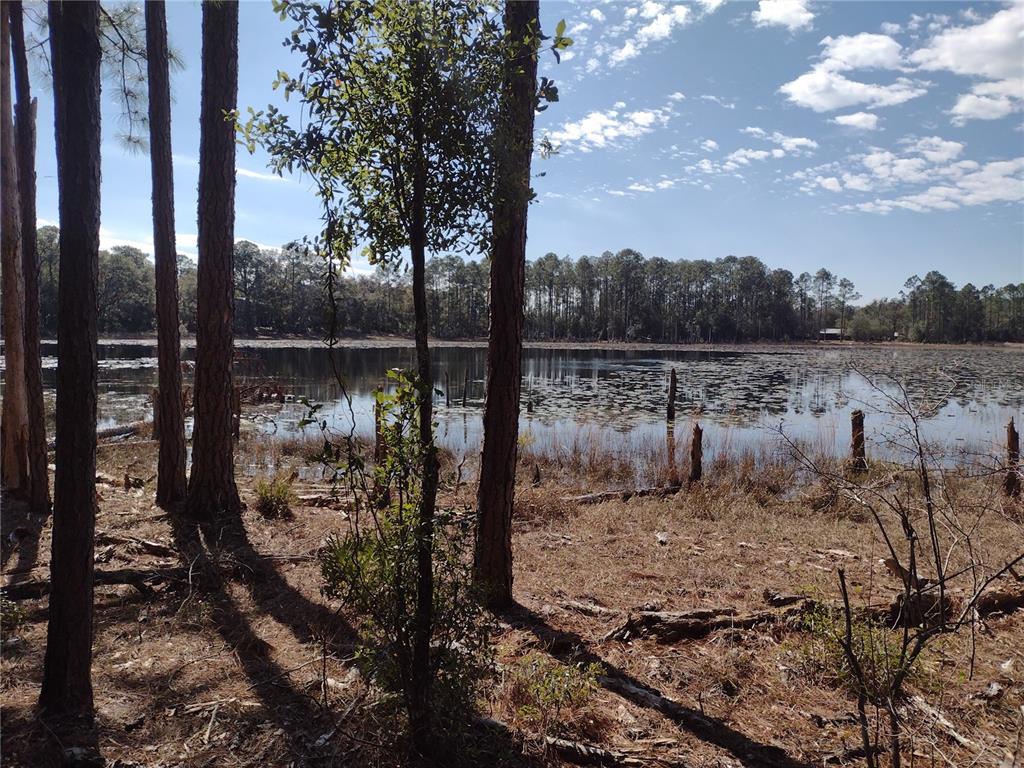 A view of a calm lake surrounded by pine trees and lily pads — 89 TUCKER LAKE ROAD, MELROSE, FL
