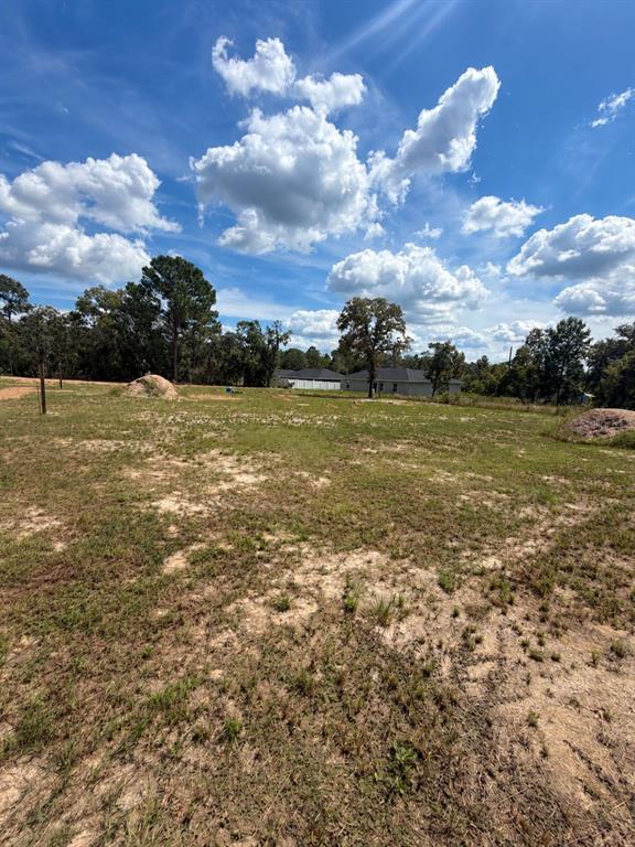 TBD SW 125TH LANE, BELLEVIEW, FL — photo 2 of 8