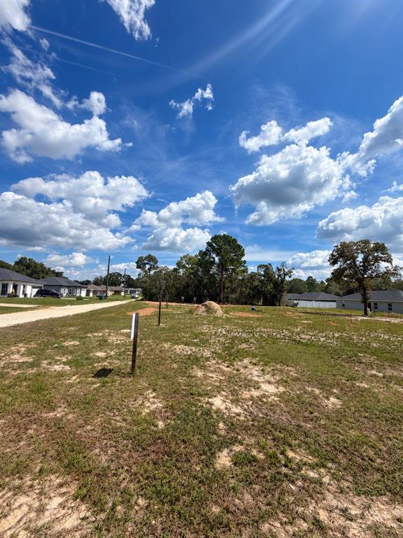 TBD SW 125TH LANE, BELLEVIEW, FL — photo 3 of 8