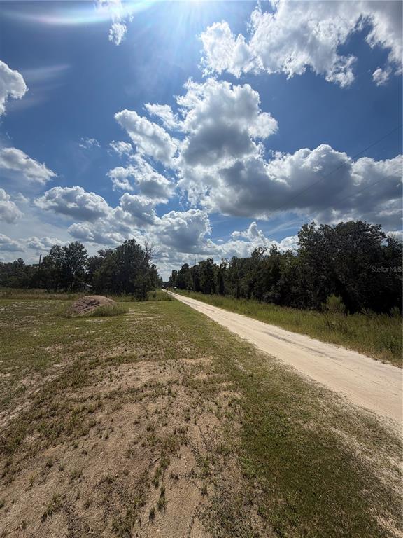 TBD SW 125TH LANE, BELLEVIEW, FL — photo 4 of 8